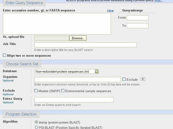 Image of blast query page